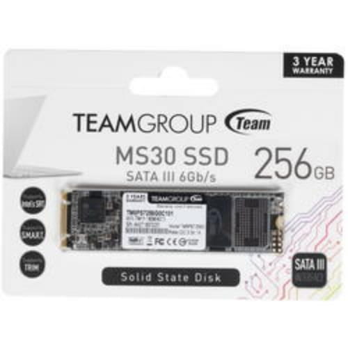 256 ГБ SSD M.2 накопитель Team Group MS30 [TM8PS7256G0C101]
