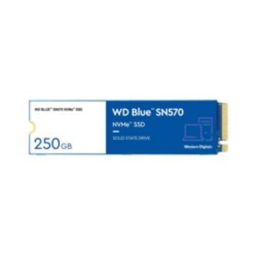250 ГБ SSD M.2 накопитель WD Blue SN570 [WDS250G3B0C]