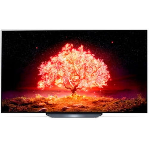 65" (163 см) Телевизор OLED LG OLED65B1RLA серый