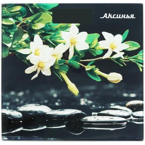 Весы Аксинья КС-6006 разноцветный