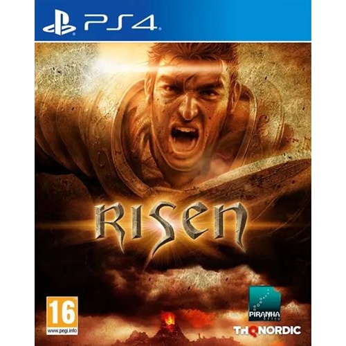 Игра Risen (PS4)