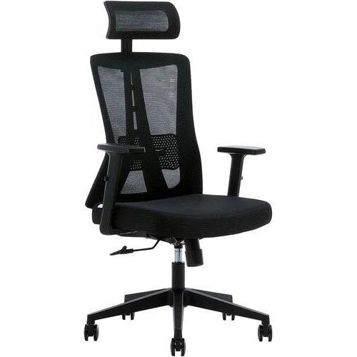 Компьютерное кресло Evolution ErgoLine 3 черный